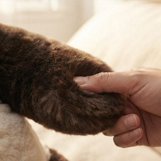 The Hug Me Back.